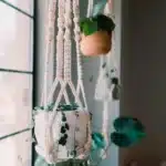 Suspension plante macramé 1