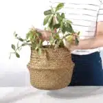 Petit panier jonc de mer 2