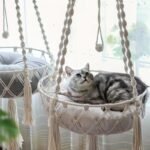 hamac chat macramé